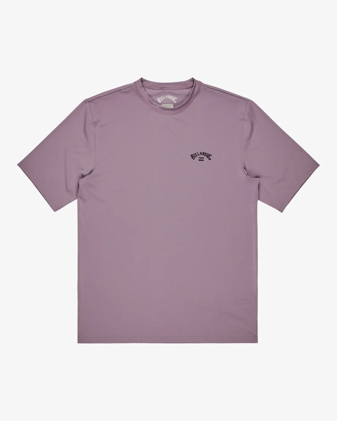 Billabong Men's Arch Wave Short Sleeves UPF 50 Surf T-Shirt Light Purple EBYWR03019-SKW0