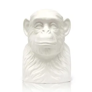 Suck UK Chimp Tidy